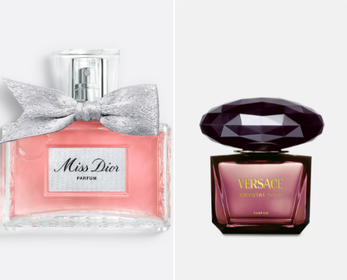 Perfume Paradise: A Guide to Exquisite Scents💜 cover photo collage
