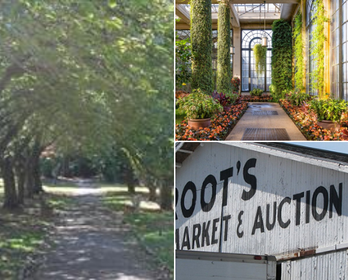 Chester County, PA Gems cover photo collage