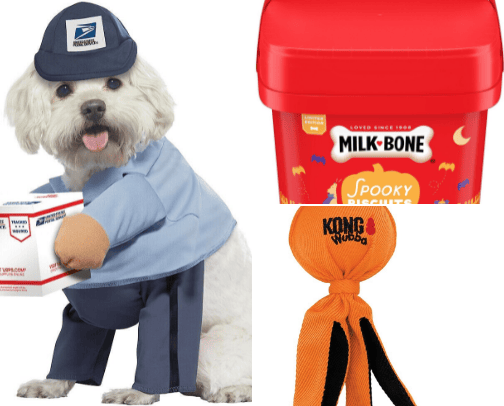 Halloween Pet Essentials PLUS Bonus Pet Safety Products And Tips! cover photo collage