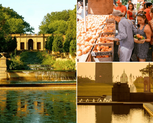 My Favorite Places to Visit in Washington, DC cover photo collage
