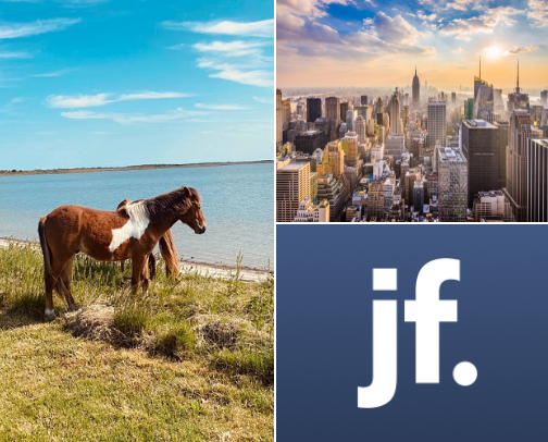 My top local recs cover photo collage