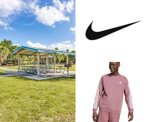 My top recs cover photo collage