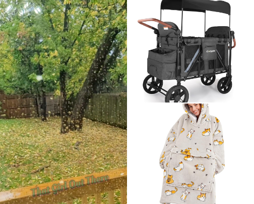 All The Things On My Mind This Fall cover photo collage