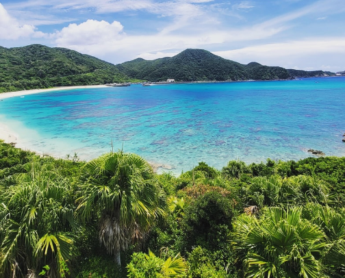 Your Travel Guide to Okinawa, Japan cover photo collage