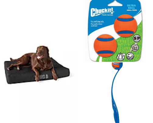 Pets must have! cover photo collage