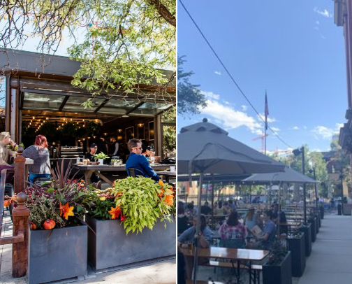 My top recs cover photo collage