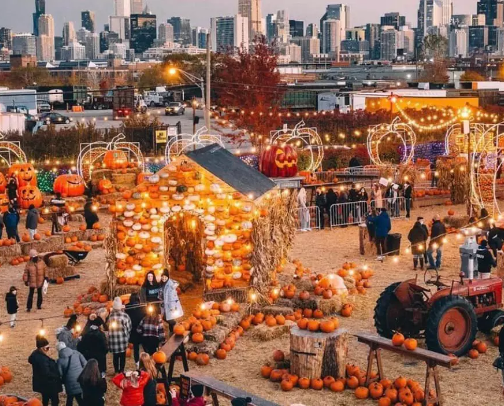 Jack's Pumpkin Pop-up cover photo collage