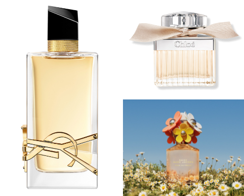 Perfumes That Make People Ask “What Are You Wearing?” cover photo collage