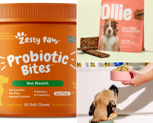 30 Products That Help Dogs Live Longer & Happier cover photo collage