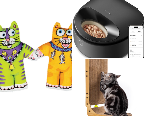 Cat Essentials cover photo collage