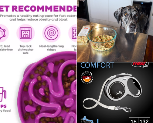 Pet Essentials Big Dog Edition cover photo collage