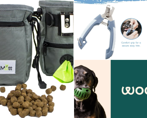 apartment dog essentials ❣️ cover photo collage