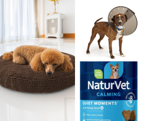 Dog Neuter Recovery Essentials cover photo collage