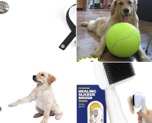 Doggy needs cover photo collage