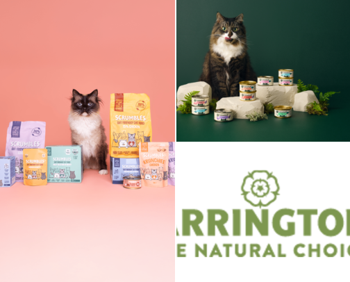 The Best Cat Foods Tried and Tested By our 5 Cats. cover photo collage