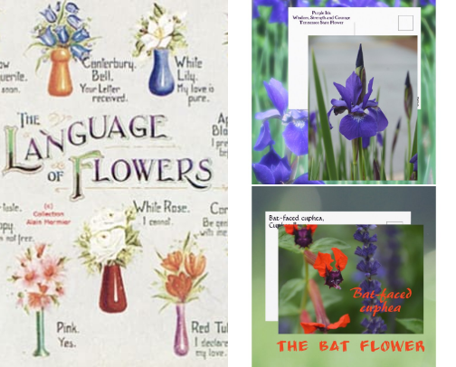 Floral Postcards: Send a Bouquet through the mail cover photo collage