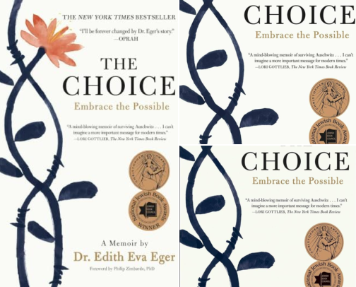Healing Companions for The Choice: Embrace the Possible Readers cover photo collage