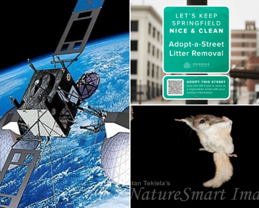 12 (Absolutely Not Illegal) Ways to Drive Traffic to Your Business—According to My Sleep-Deprived, Toddler-Whipped Imagination cover photo collage