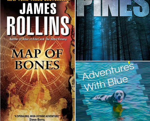 My favorite book recs cover photo collage