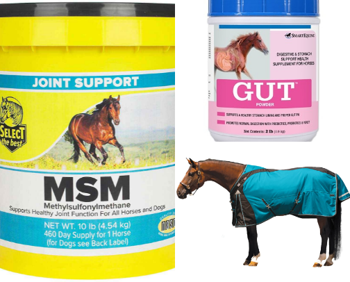 Horse go-tos cover photo collage