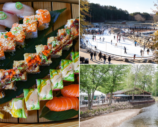 Top Charlotte must go’s cover photo collage