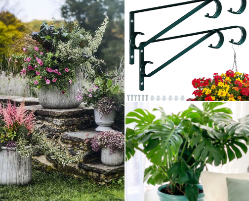 Plant People cover photo collage