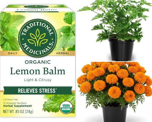 Lookbooks cover photo collage