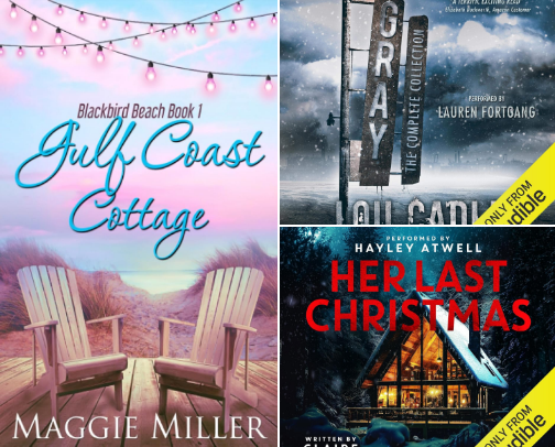 My Reads in 2025 cover photo collage