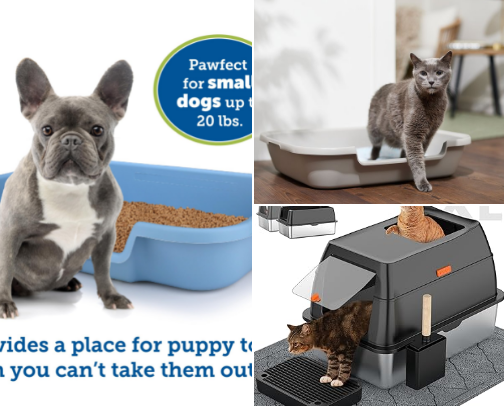 THINGS YOUR PET MUST HAVE. cover photo collage