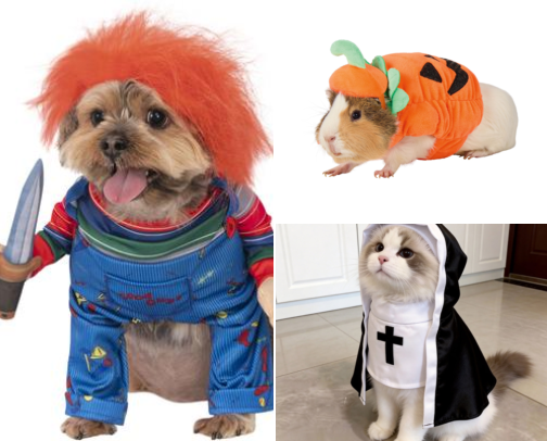 The Greatest Pet Costumes on the Internet cover photo collage