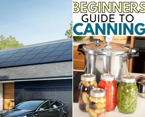 Self Sustaining cover photo collage