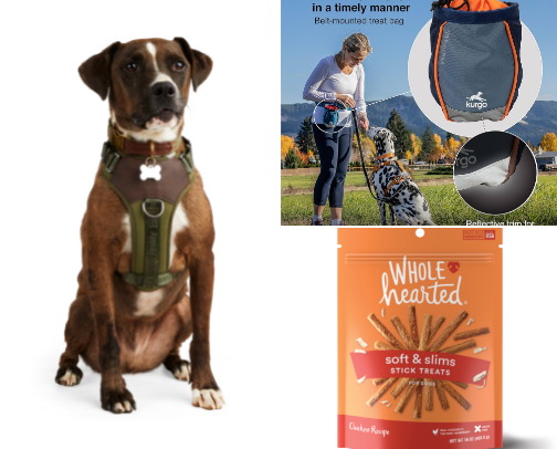 Dog walking time 🐕‍🦺 cover photo collage