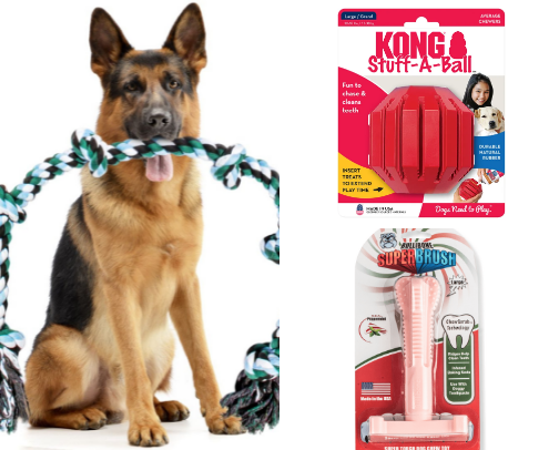 Best Toys For Big Dogs cover photo collage
