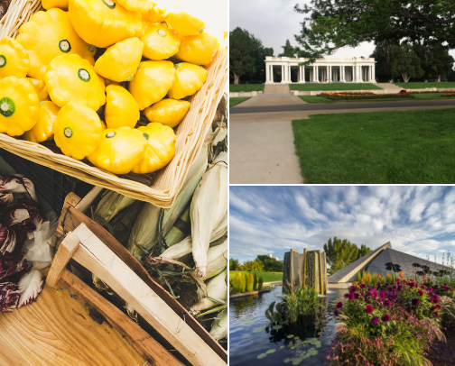 denver things to do! cover photo collage