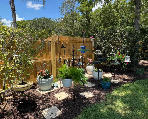 The Chirp Stop cover photo collage