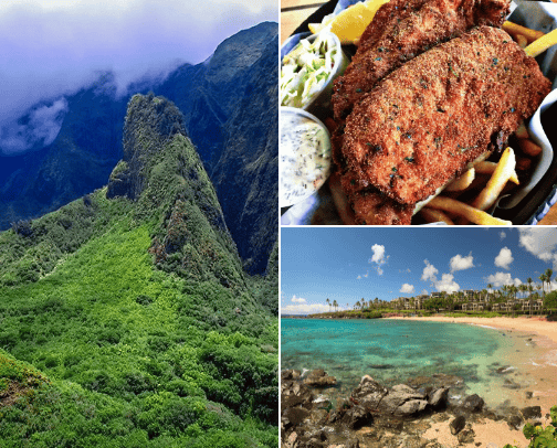 Maui Recs cover photo collage