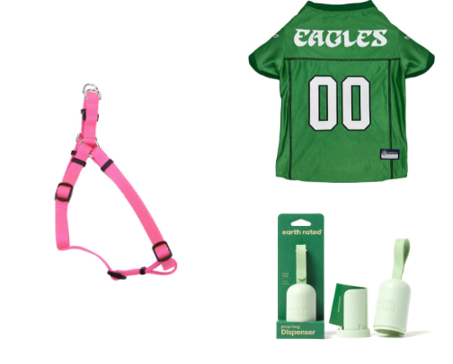 Doggy Fashion & Accessories! cover photo collage