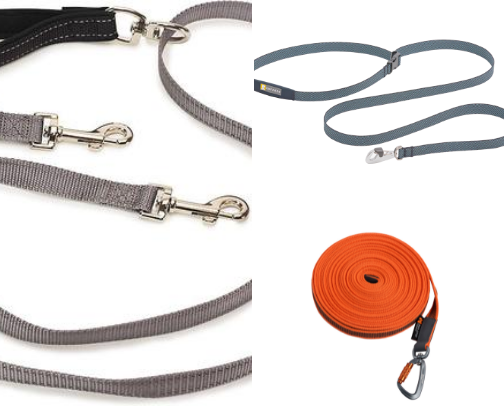 Leashes & Long Lines cover photo collage
