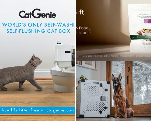 Pet Necessities cover photo collage