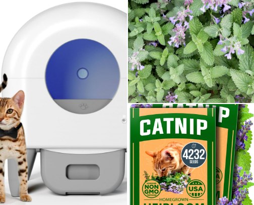 Fur-Baby Friendly cover photo collage