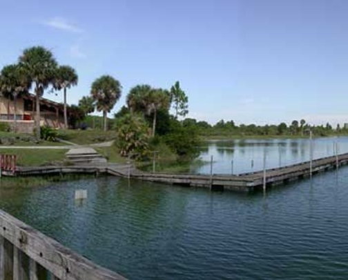 My top Homestead recs cover photo collage