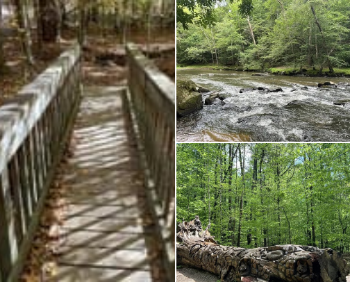 Triangle Trails I’d Actually Hike Again: 15 Routes Around Raleigh & Durham cover photo collage