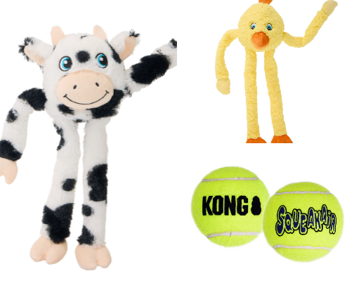 Rory, the Toy Poodle - Recommendations for his Furry Friends cover photo collage