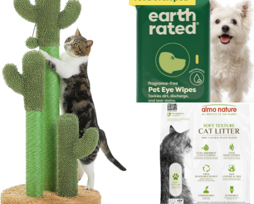 High Maintenance Cat Essentials 🐾 cover photo collage