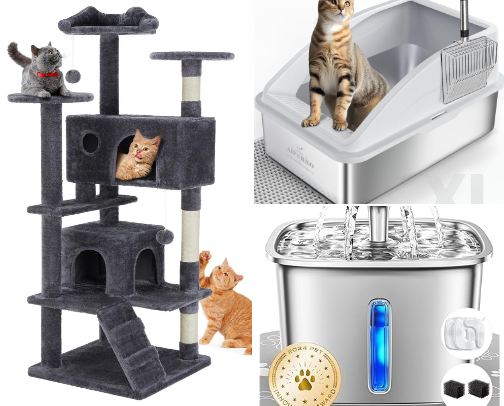 Feline favorites 🐈 cover photo collage