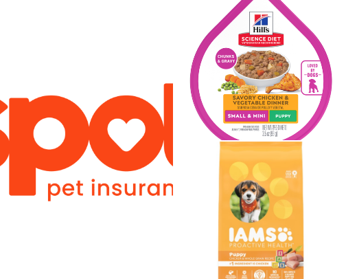 New puppy list cover photo collage