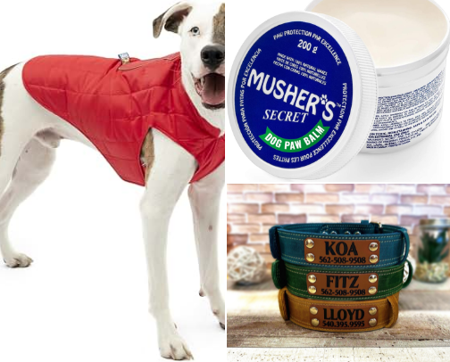 The Pampered Pet Parent’s Winter Survival & Holiday Guide cover photo collage