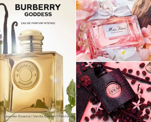 Scents people always ask about🌺 cover photo collage