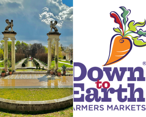 My new list cover photo collage