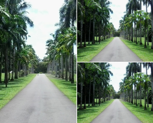 My top Gampaha recs cover photo collage